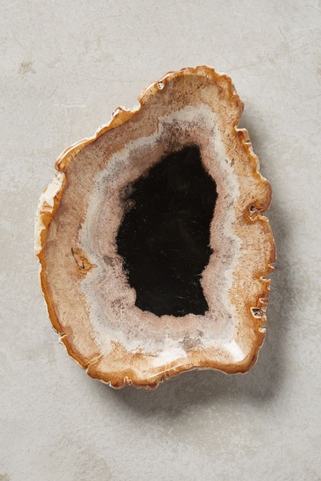 Petrified Wood Tray #2