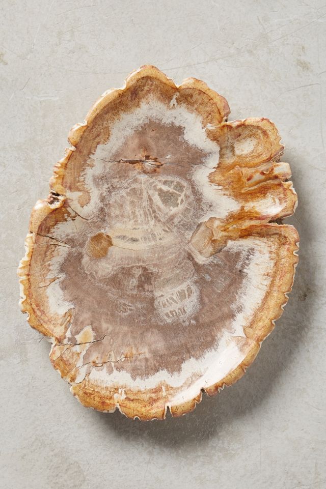 Petrified Wood Tray #3