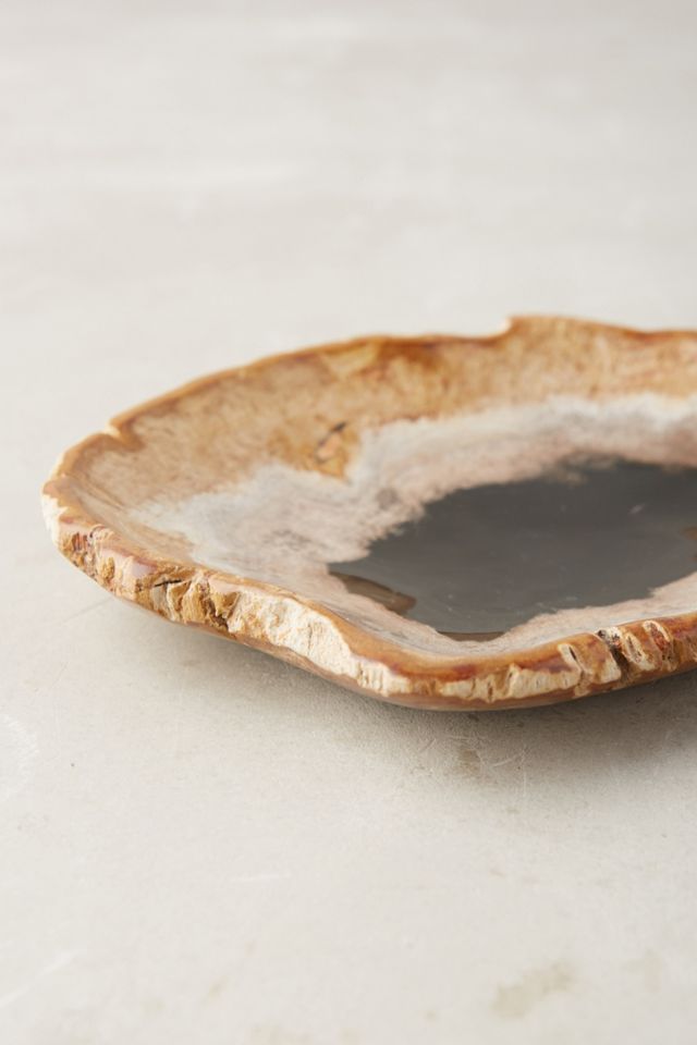Petrified Wood Tray | Anthropologie