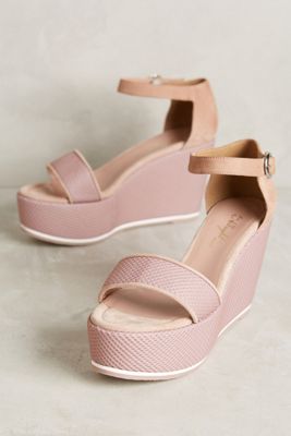 Miss Albright Olin Platforms