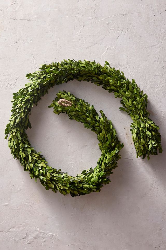 Preserved Boxwood Garland #3