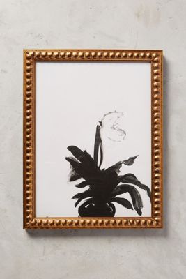 The Orchid Wall Art