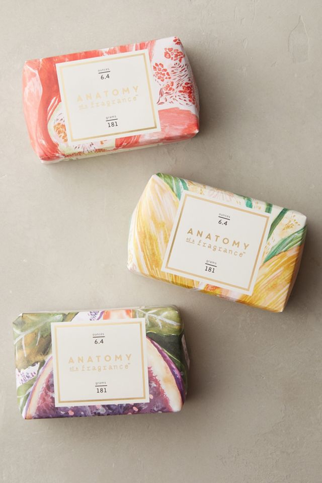 Anatomy Of A Fragrance Bar Soap #1