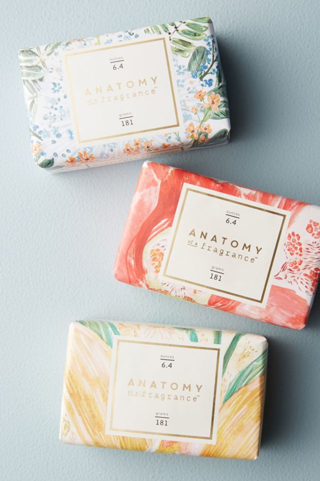 Anatomy Of A Fragrance Bar Soap #3