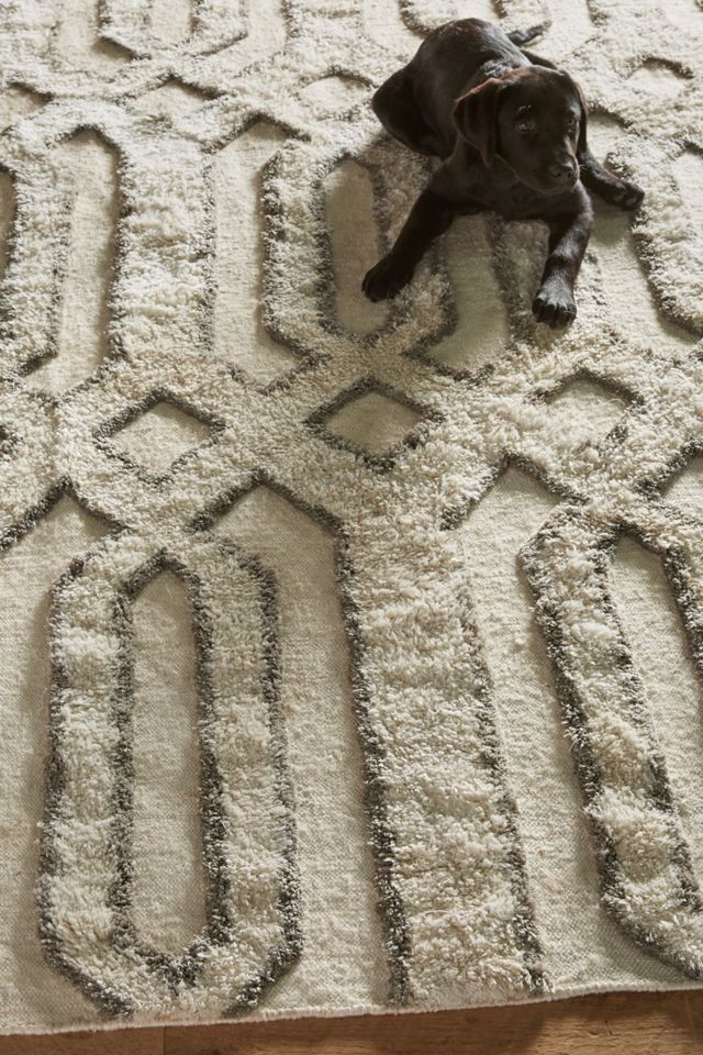 Hand-Tufted Trellis Rug #1