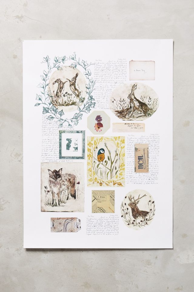 Storied Vignettes Print