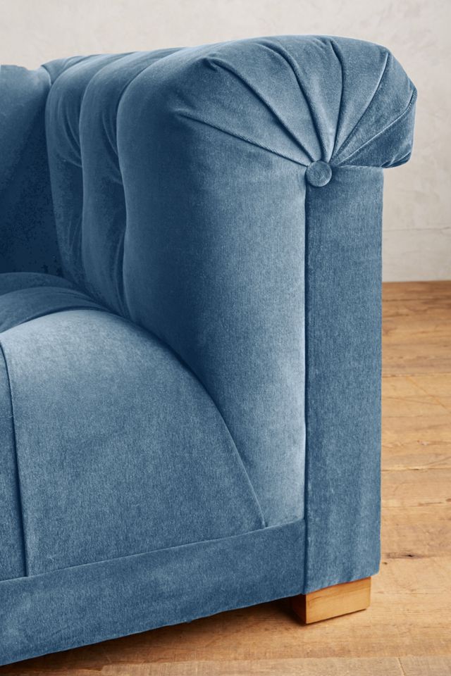 Velvet Kettleby Tete-a-Tete #3