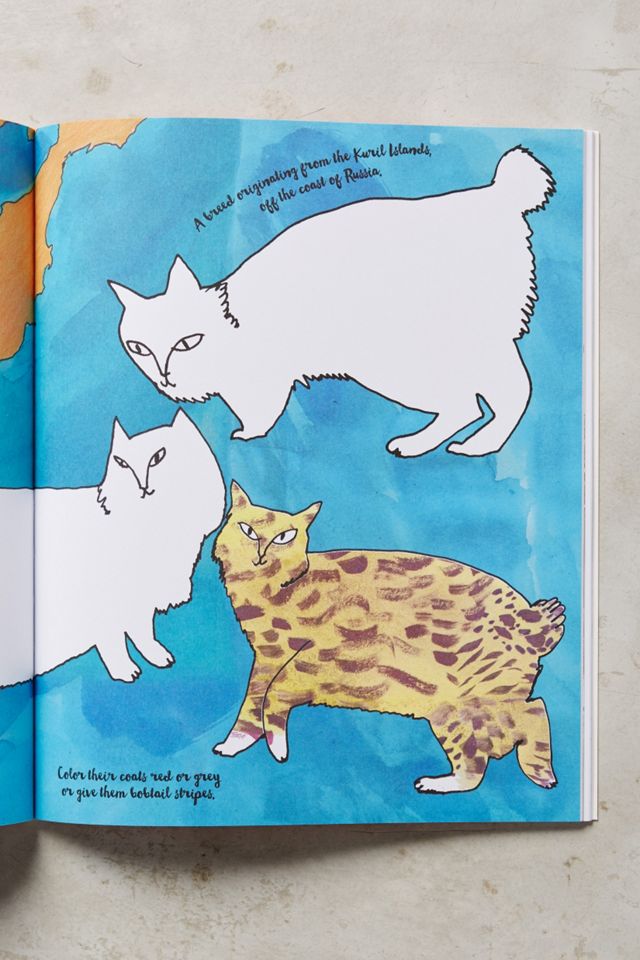 Color A Cat #2