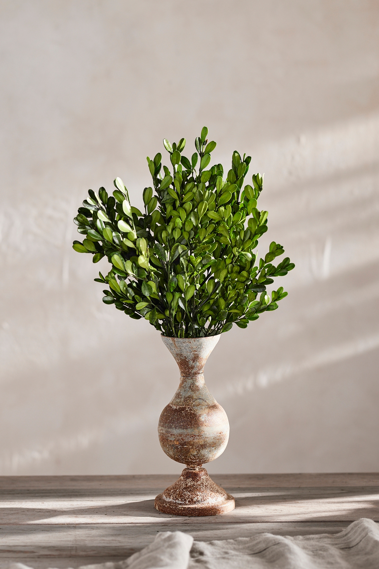 Preserved Boxwood Bunch