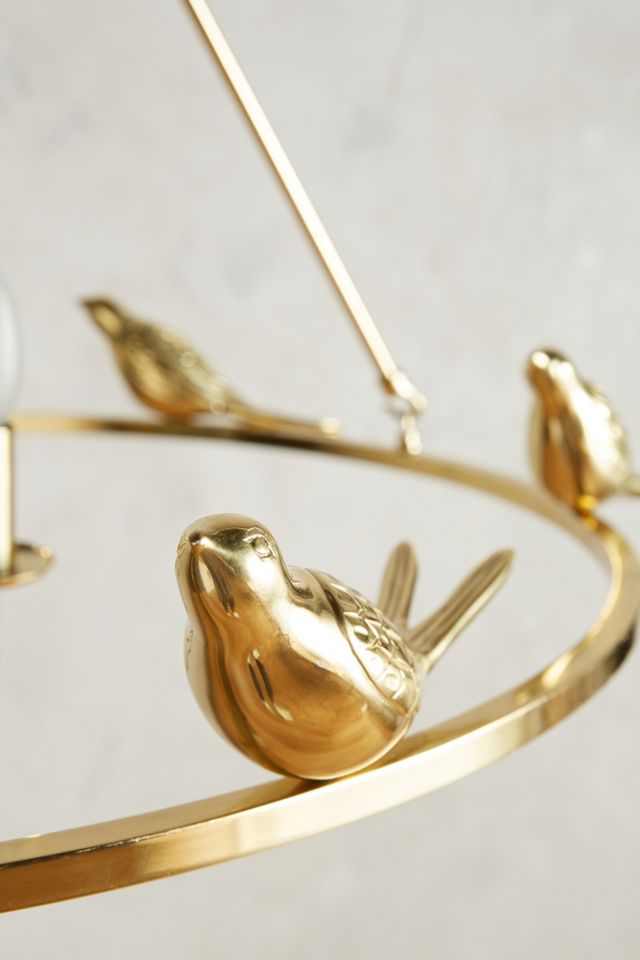 Golden Perch Chandelier #2