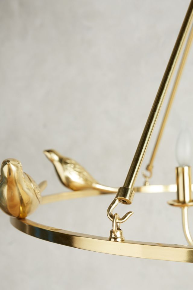 Golden Perch Chandelier #3