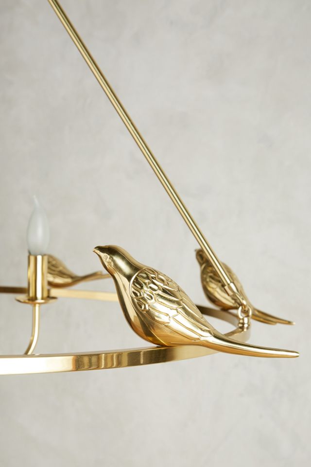 Golden Perch Chandelier #4