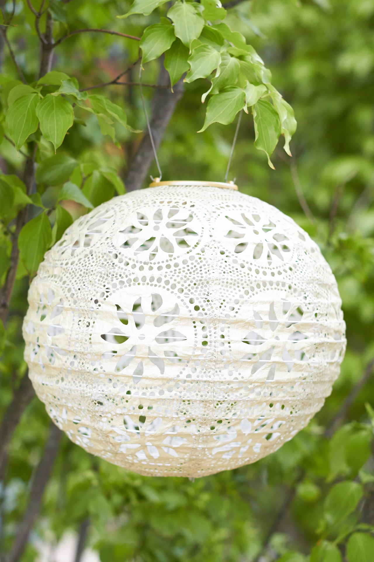 Floral Lace Solar Lantern