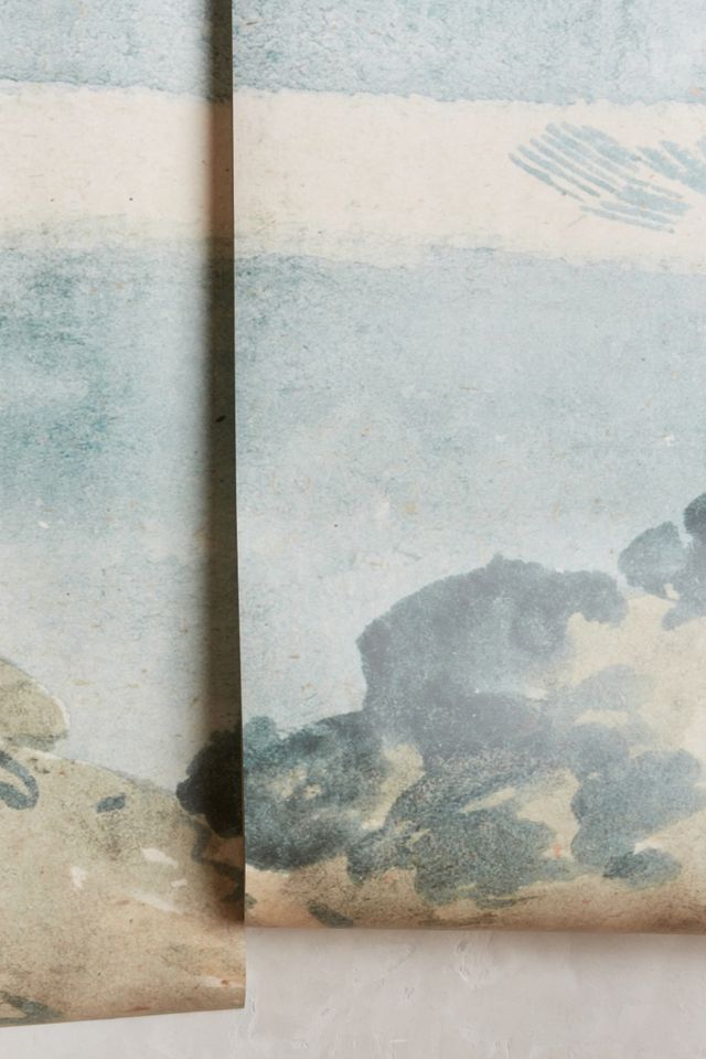 Coastal Cirrus Mural #1