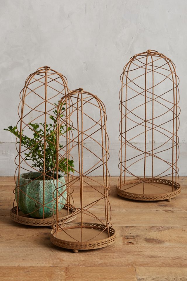 Wire Cloche Set