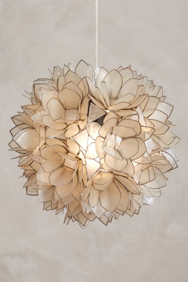 Coppice Shell Pendant #2