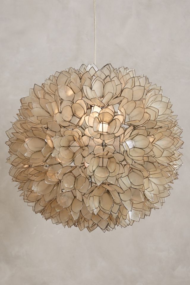 Coppice Shell Pendant #6