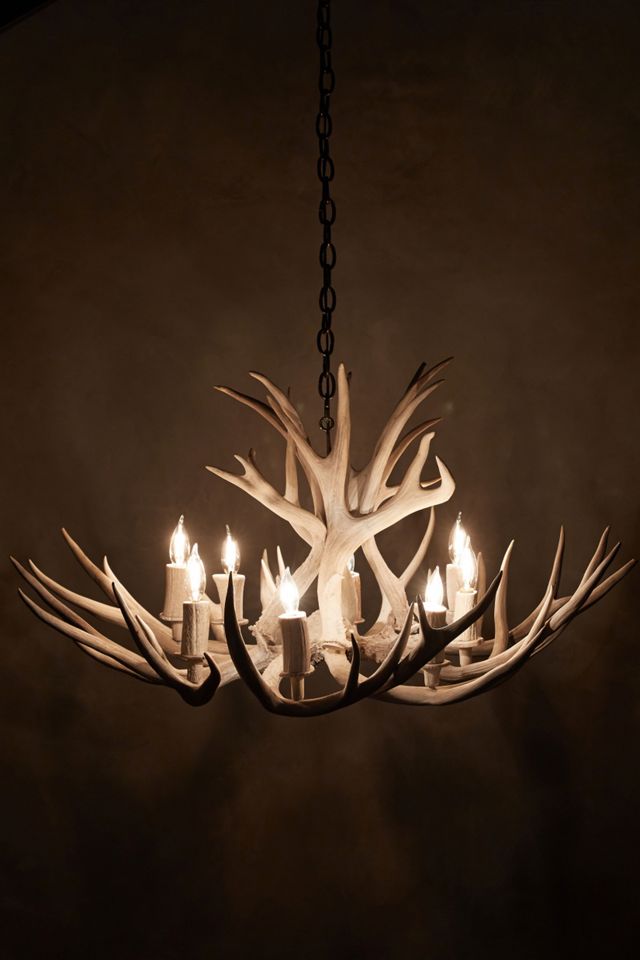 Shed Antler Chandelier #6