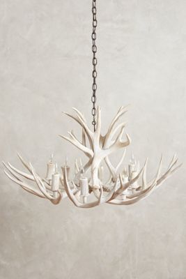 Shed Antler Chandelier