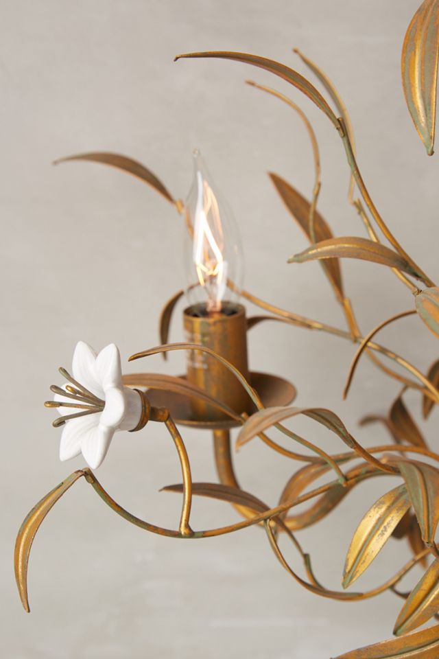 Burgeoning Blooms Chandelier #4