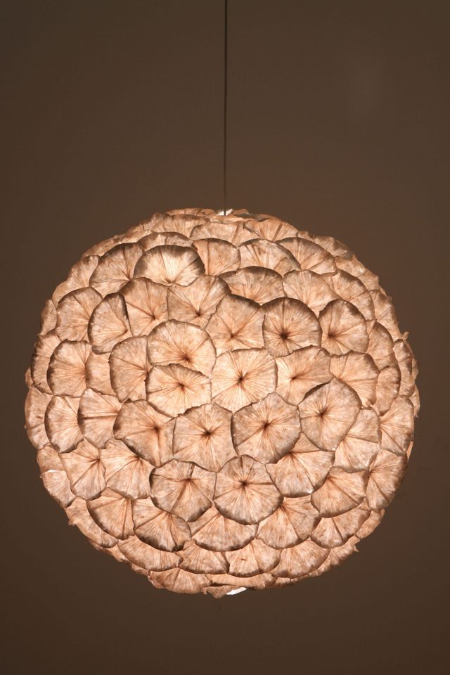 Rhododendron Chandelier #3