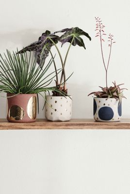 Glowing Arbor Pot