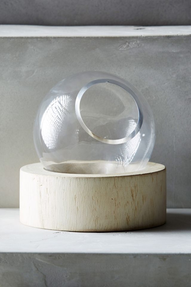 Planetarium Terrarium #1