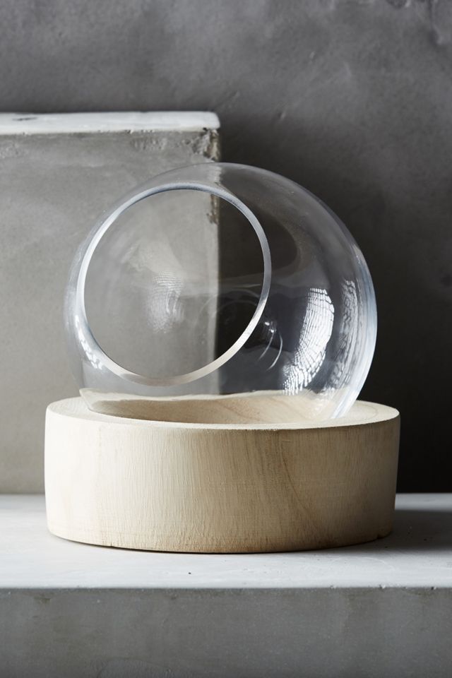 Planetarium Terrarium #2
