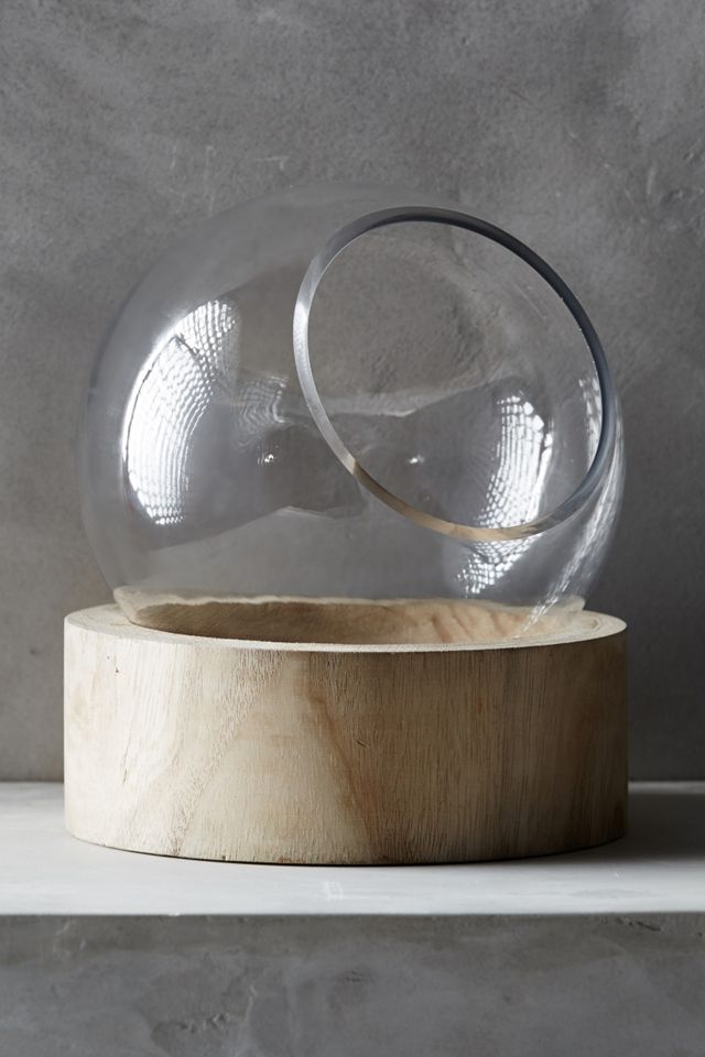 Planetarium Terrarium #3
