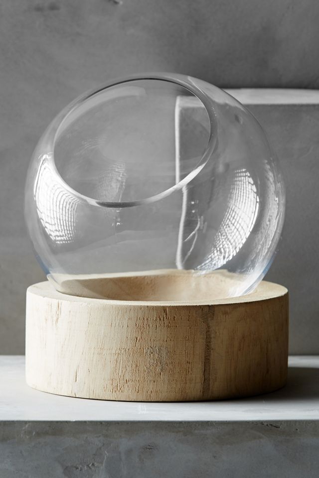 Planetarium Terrarium #4