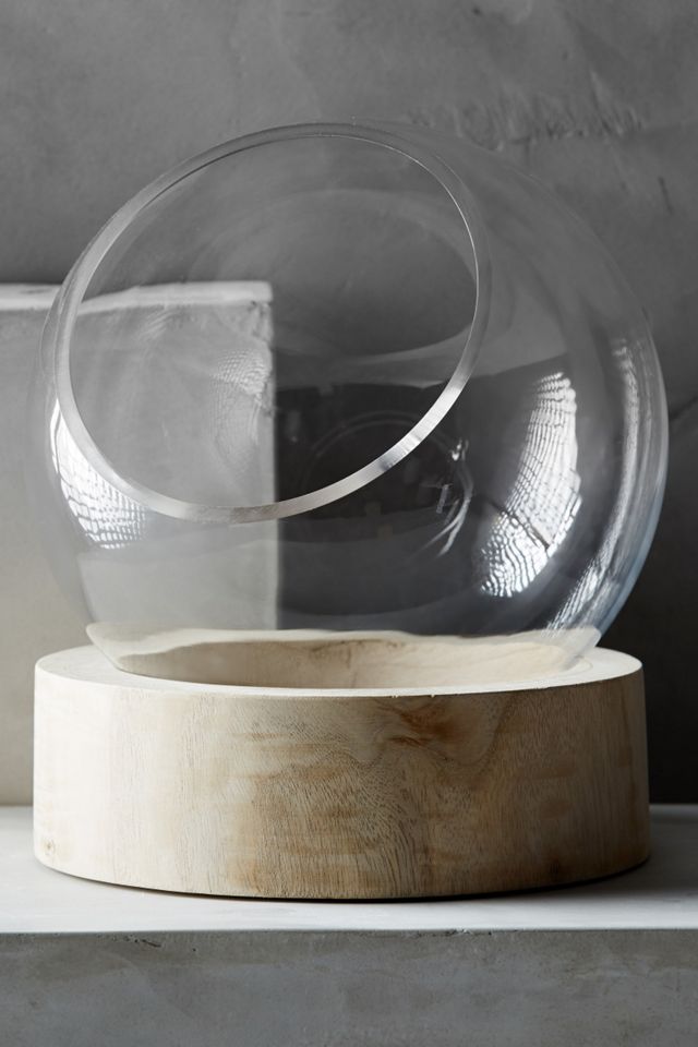 Planetarium Terrarium #5