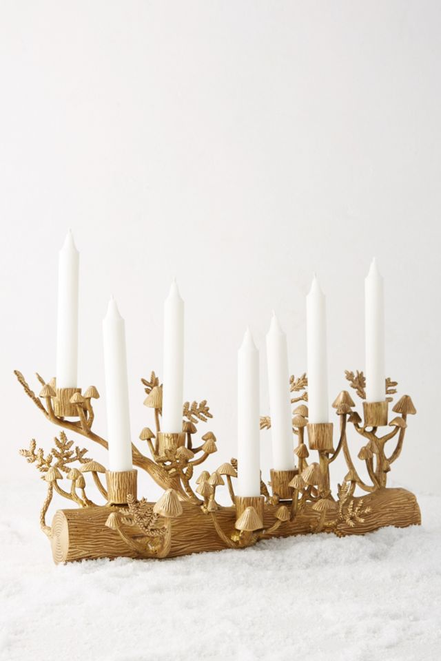 Arden Taper Holder #1
