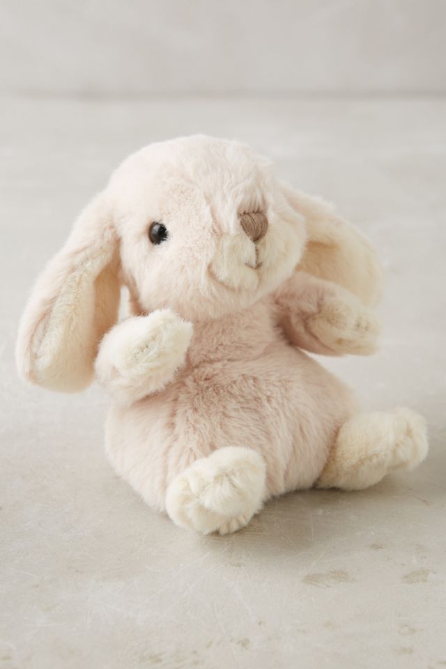 Cottontail Bunny
