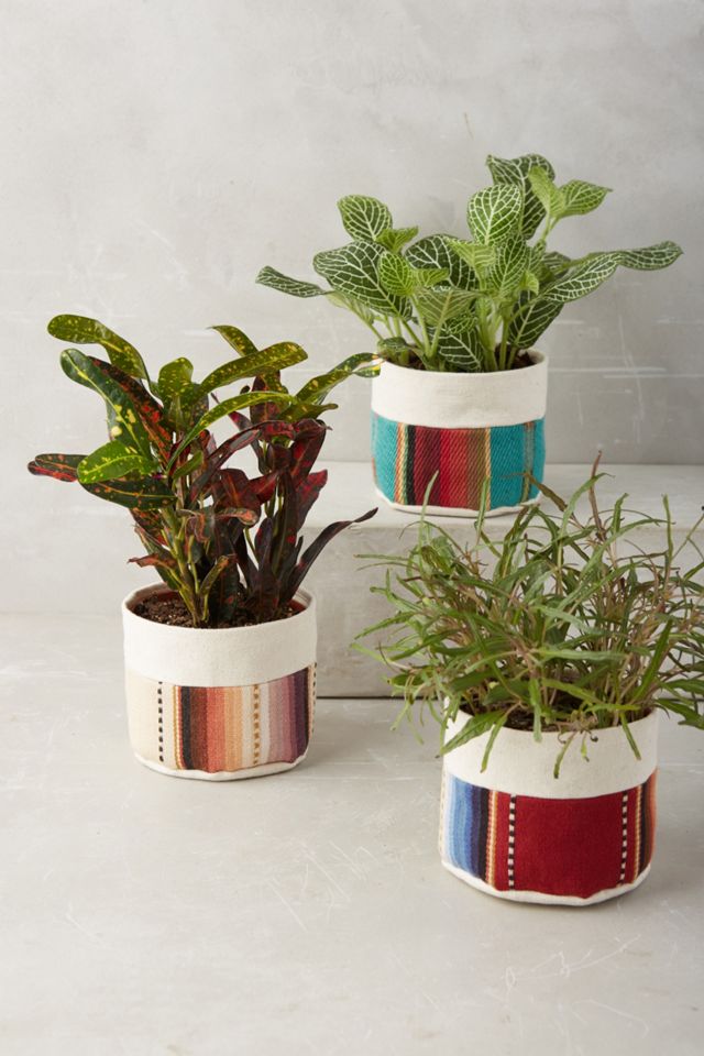 Sedona Planter #1