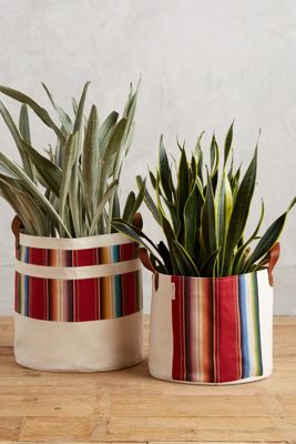 Sedona Basket