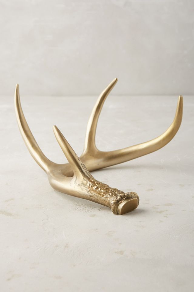 Antler Decorative Object #1