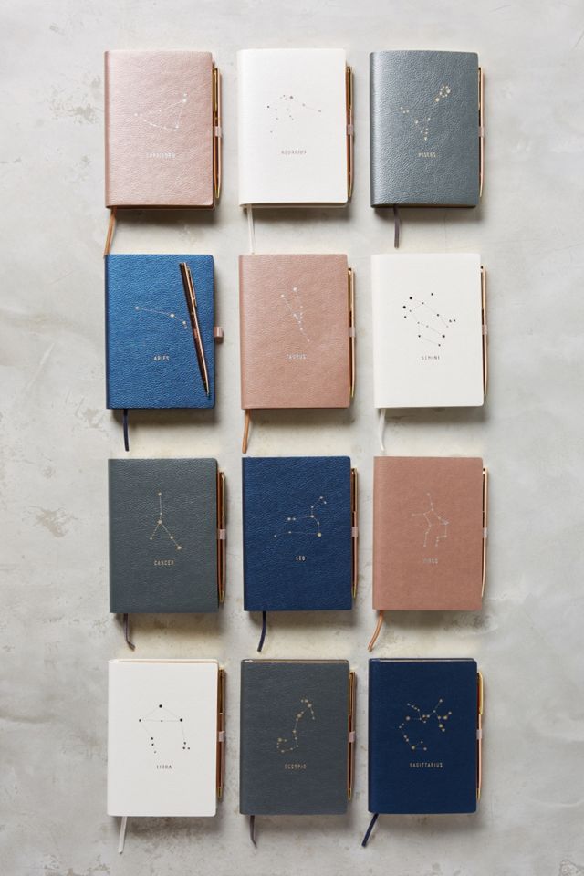 Zodiac Journal #2