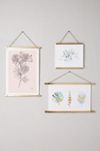 Brass Print Hanger | Anthropologie