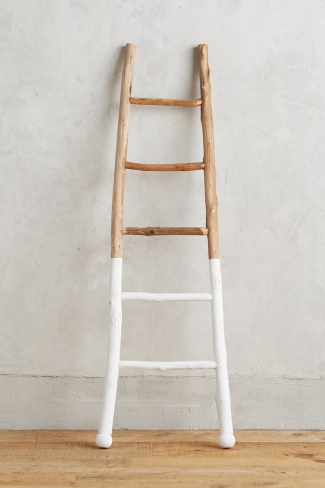 White-Dipped Ladder #1