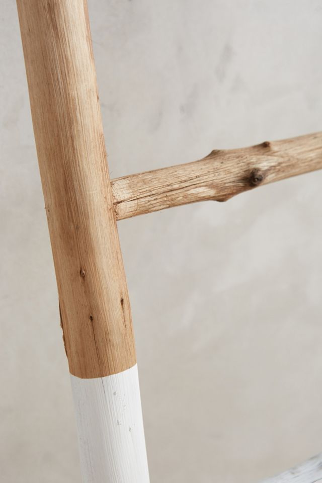 White-Dipped Ladder #2