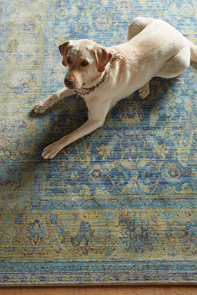 Overdyed Albufera Rug #1