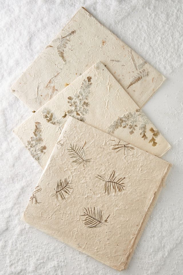 Pressed Foliage Gift Wrap #1
