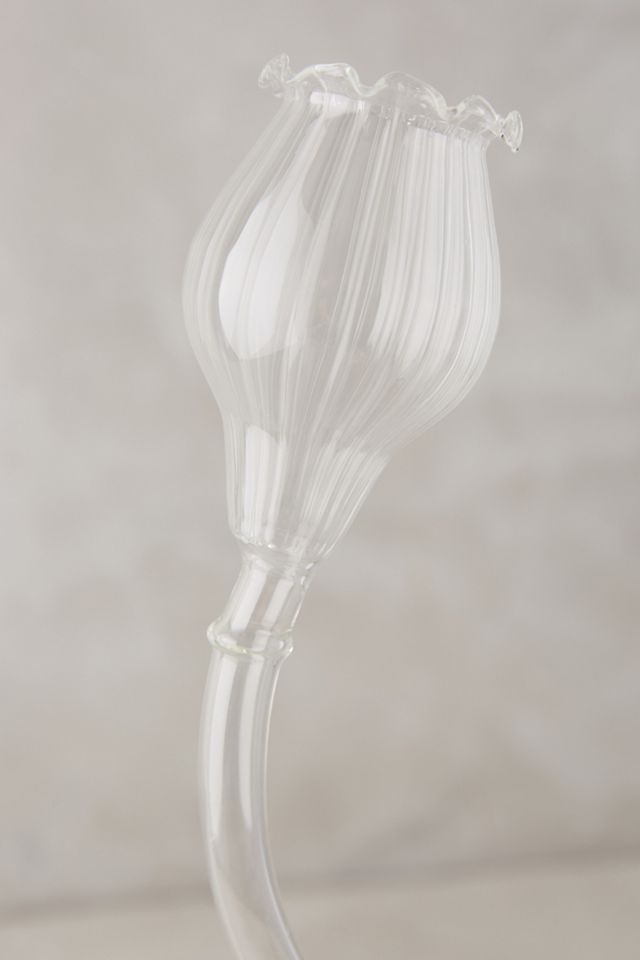 Branching Out Vase #7