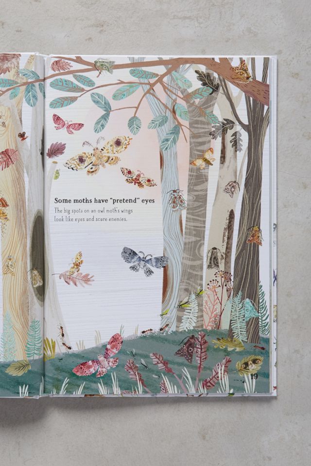 The Big Book Of Bugs #2