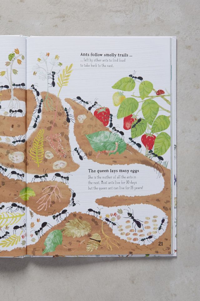 The Big Book Of Bugs #3