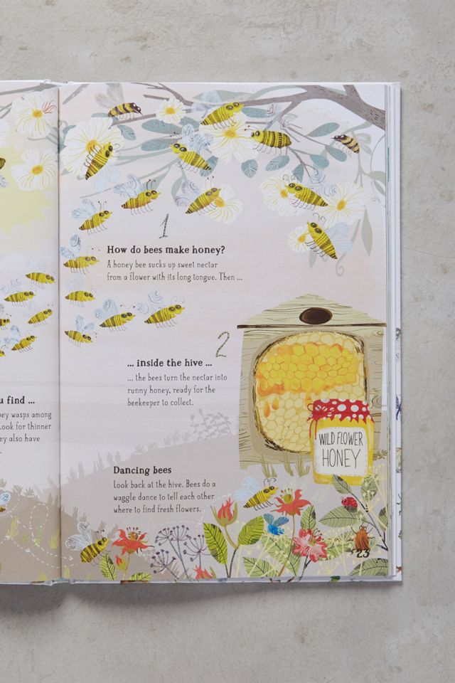 The Big Book Of Bugs #4