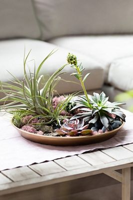 Habit & Form Circle Tray