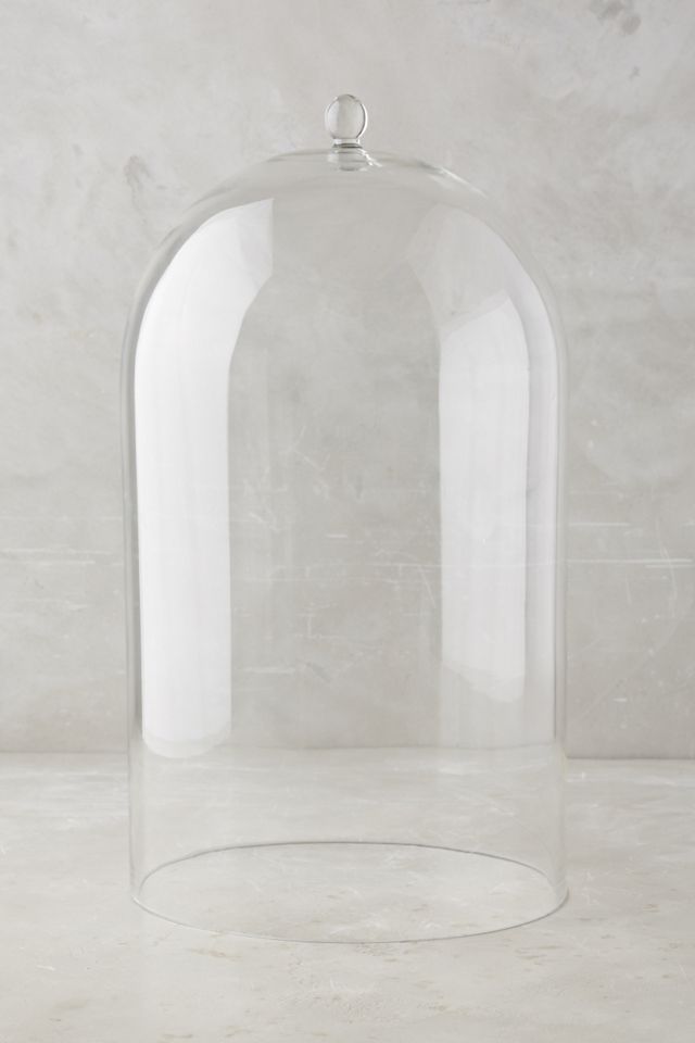 Glass Display Cloche #1