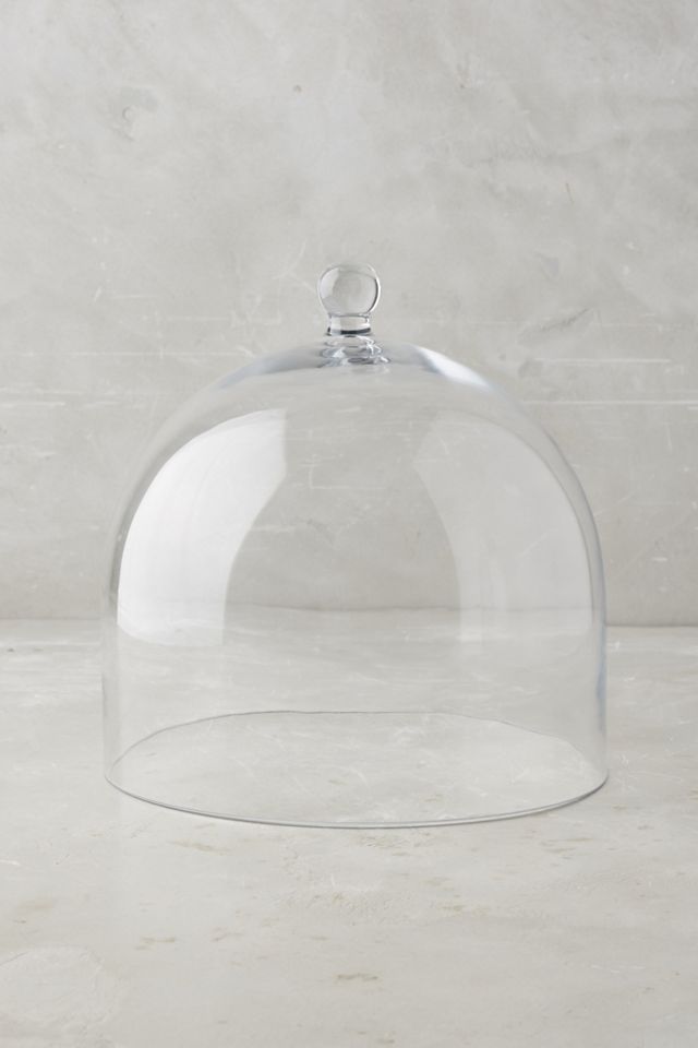 Glass Display Cloche #2