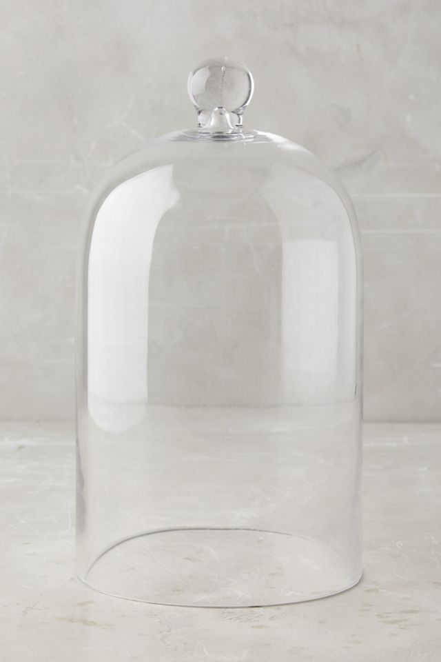 Glass Display Cloche #3